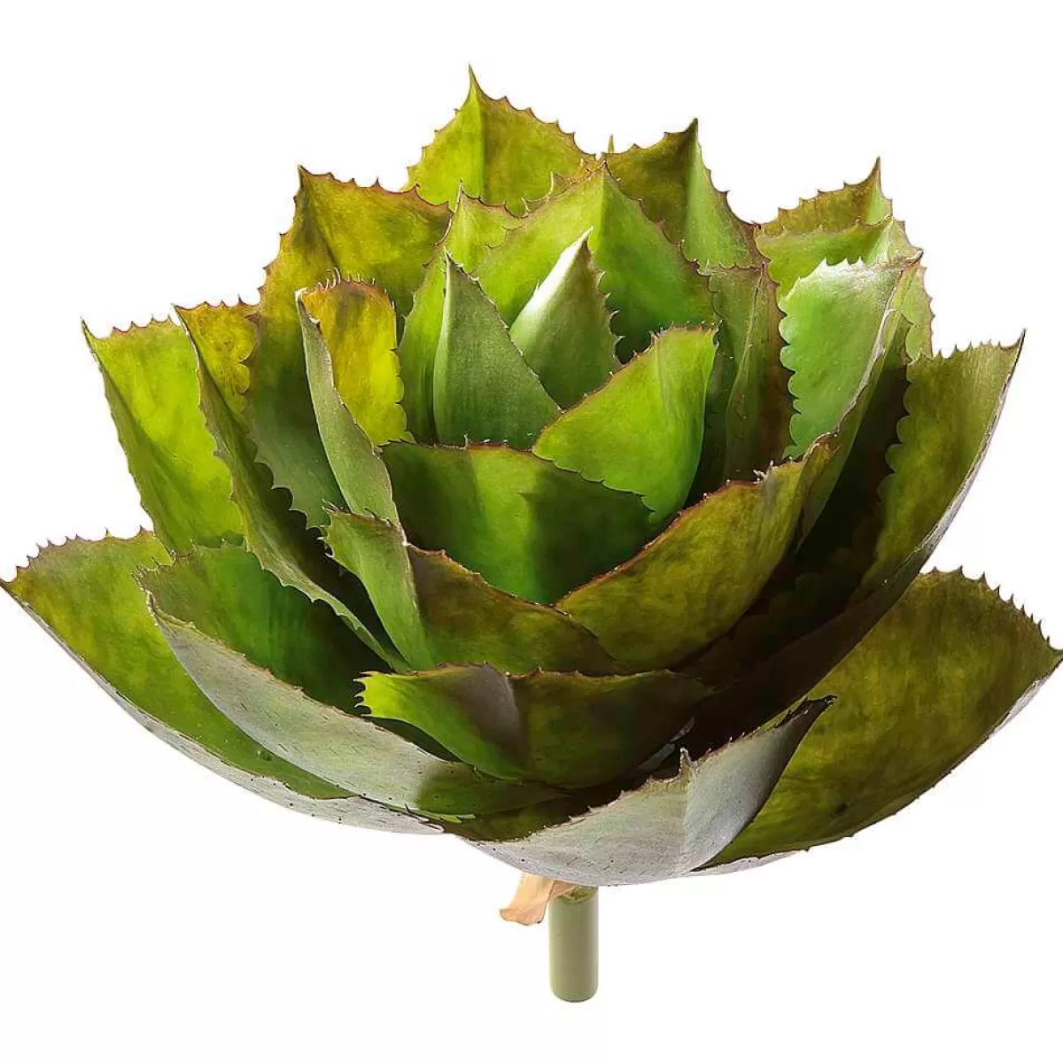 DecoWoerner Agave De Parry Artificielle Sans Pot, Ø 38 Cm