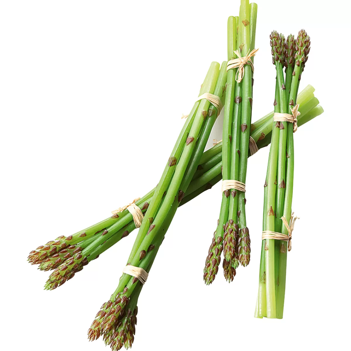 DecoWoerner Asperge e Aliment Factice, Paquet De 4 Pièces