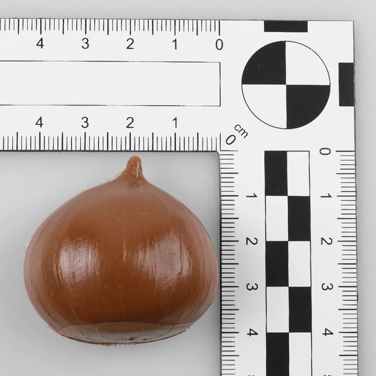 DecoWoerner Assortiment De Noix Mélangées - Faux Aliments Sachet De 200 G