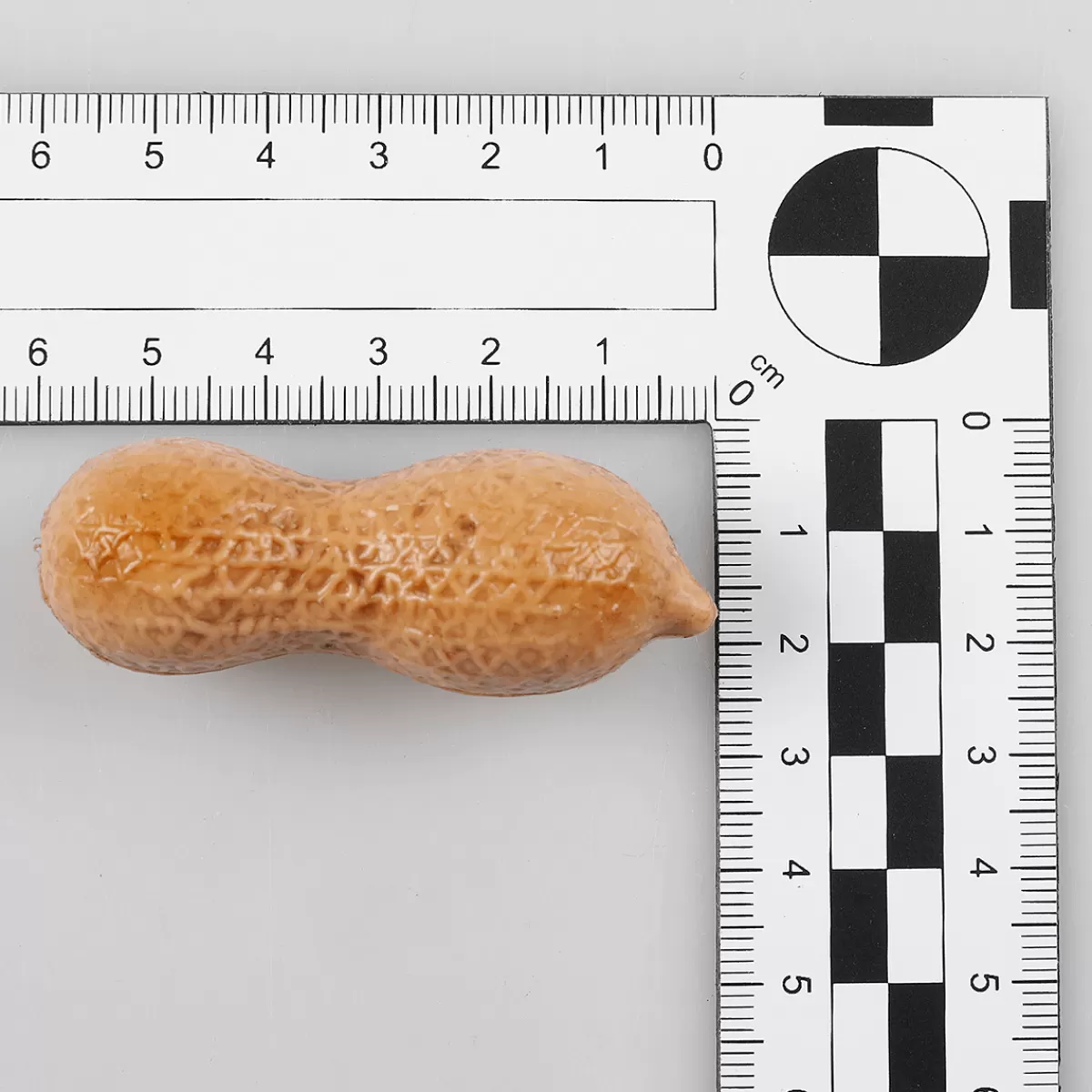 DecoWoerner Assortiment De Noix Mélangées - Faux Aliments Sachet De 200 G