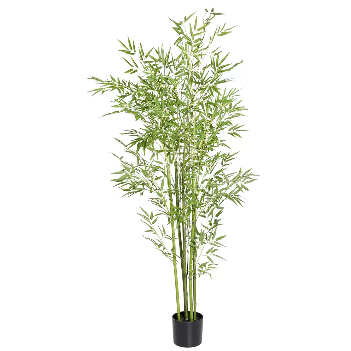 DecoWoerner Bambou Artificiel En Pot