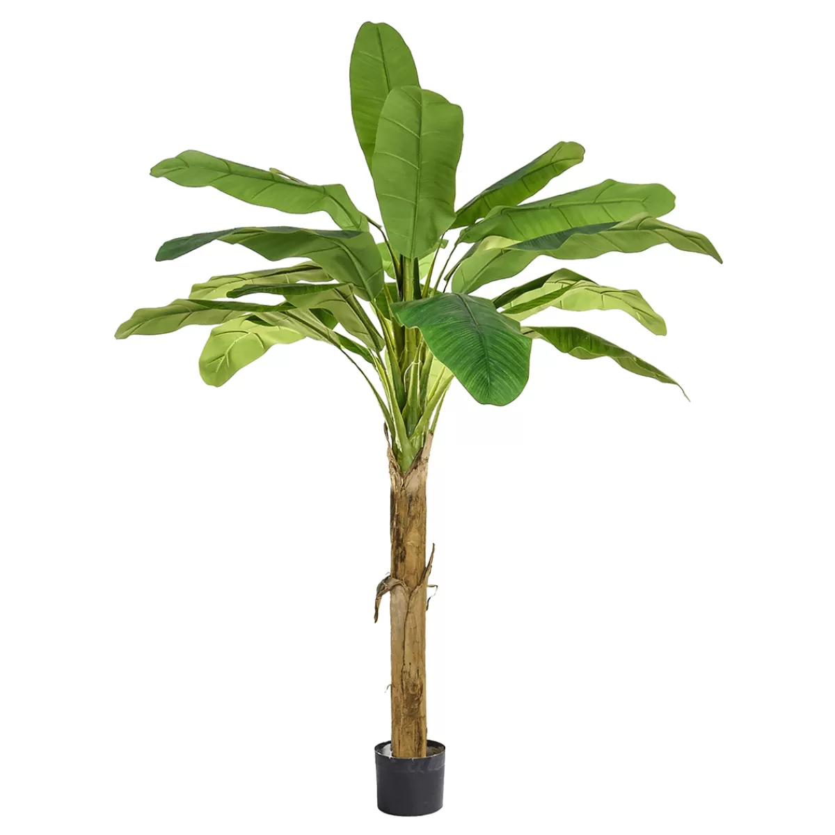 DecoWoerner Bananier Artificiel En Pot Ignifugé 105 Cm