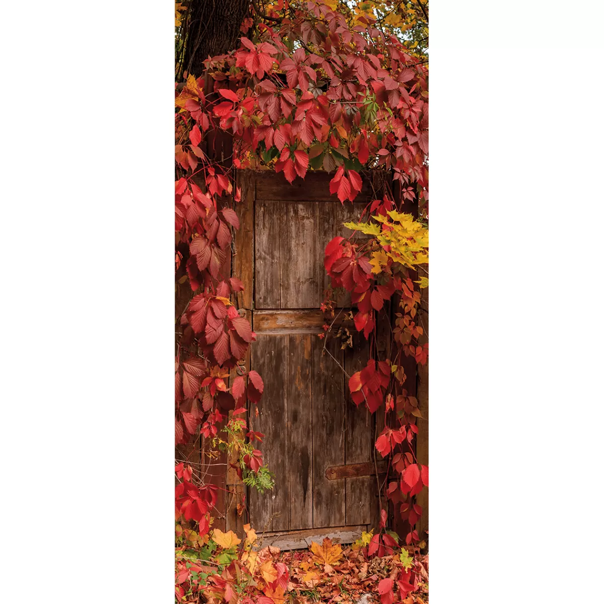 DecoWoerner Bannière En Tissu Difficilement Inflammable "Feuilles D'automne" En Tissu Pour Drapeau 100 X 200 Cm