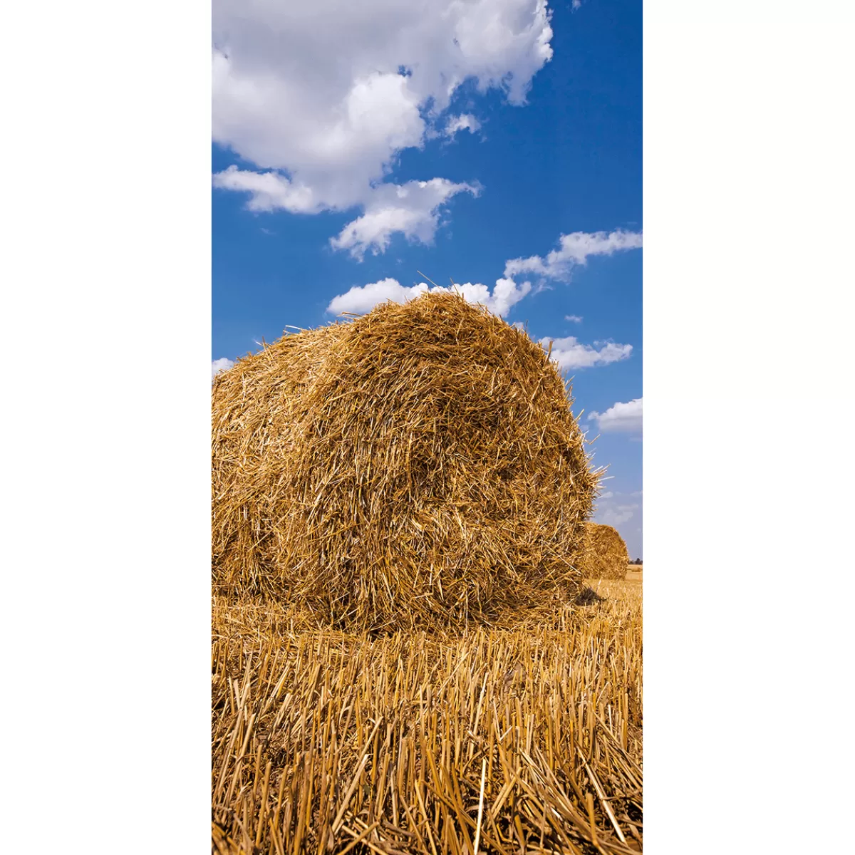 DecoWoerner Bannière En Tissu Ignifugé "Botte De Paille" En Tissu Drapeau 100 X 200 Cm