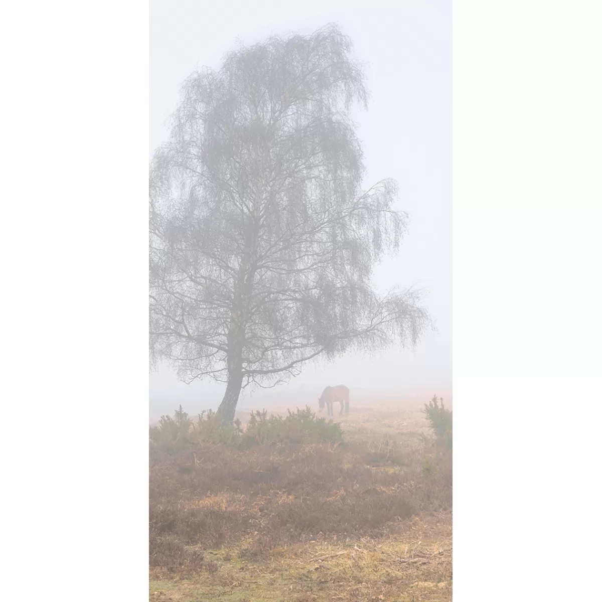 DecoWoerner Bannière En Tissu Ignifugé "Brouillard D'automne" En Tissu Pour Drapeau 100 X 200 Cm