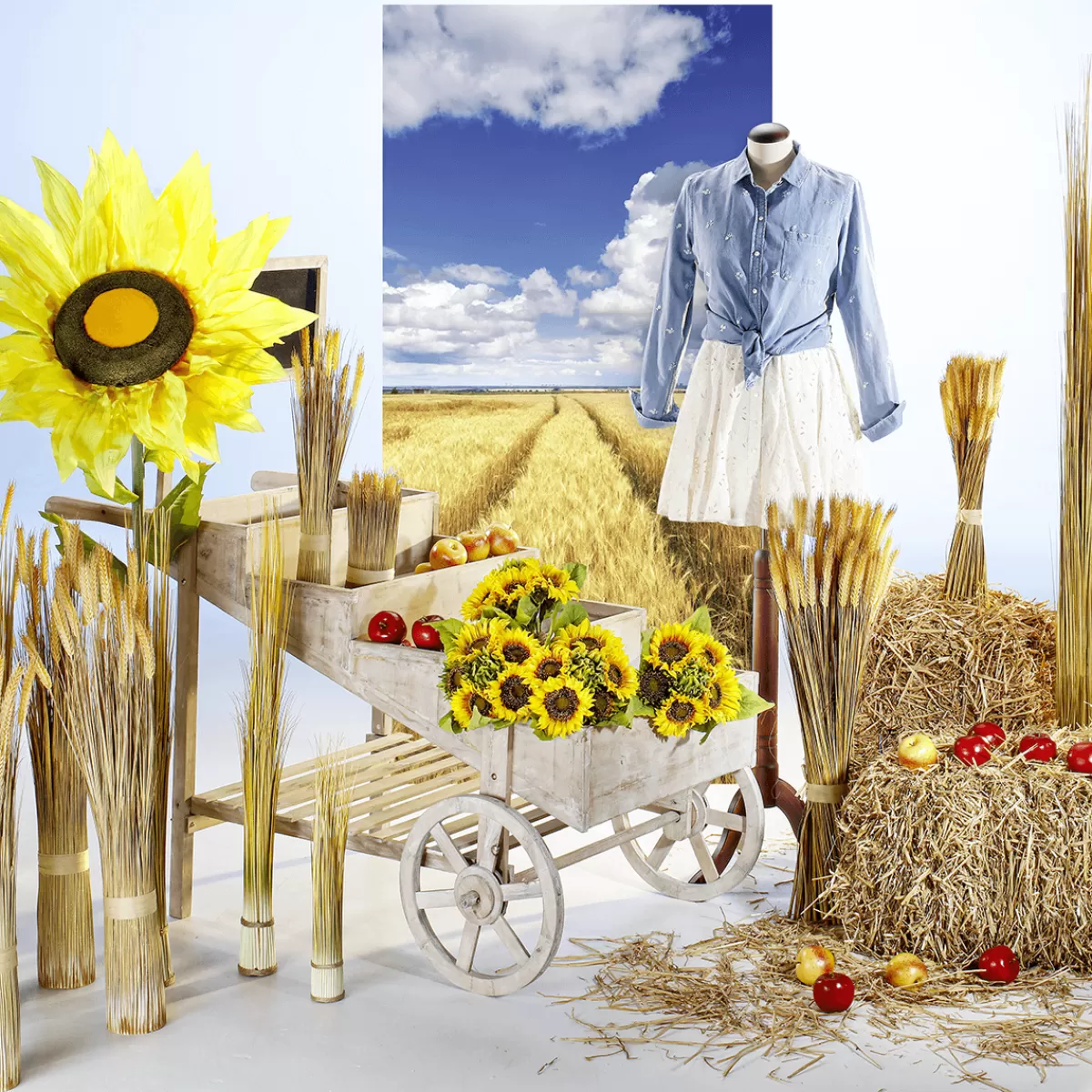 DecoWoerner Bannière En Tissu Ignifugé "champ De Blé Doré Sous Un Ciel Bleu" En Tissu Pour Drapeau 100 X 200 Cm