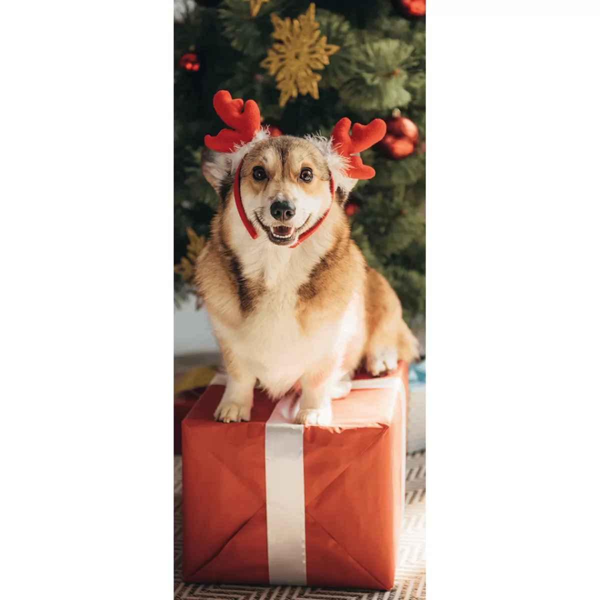 DecoWoerner Bannière En Tissu Ignifugé "Chien De Noël Corgi" En Tissu Pour Drapeau 75 X 180 Cm