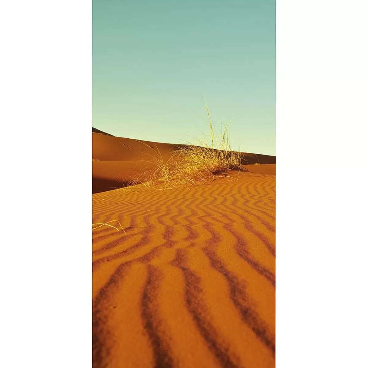 DecoWoerner Bannière En Tissu Ignifugé "Désert" En Tissu Pour Drapeau 100 X 200 Cm