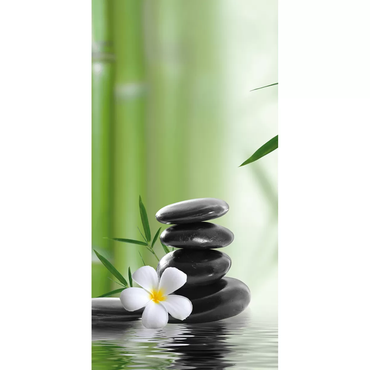 DecoWoerner Bannière En Tissu Ignifugé "Détente Et Bien-être" En Tissu Pour Drapeau 100 X 200 Cm