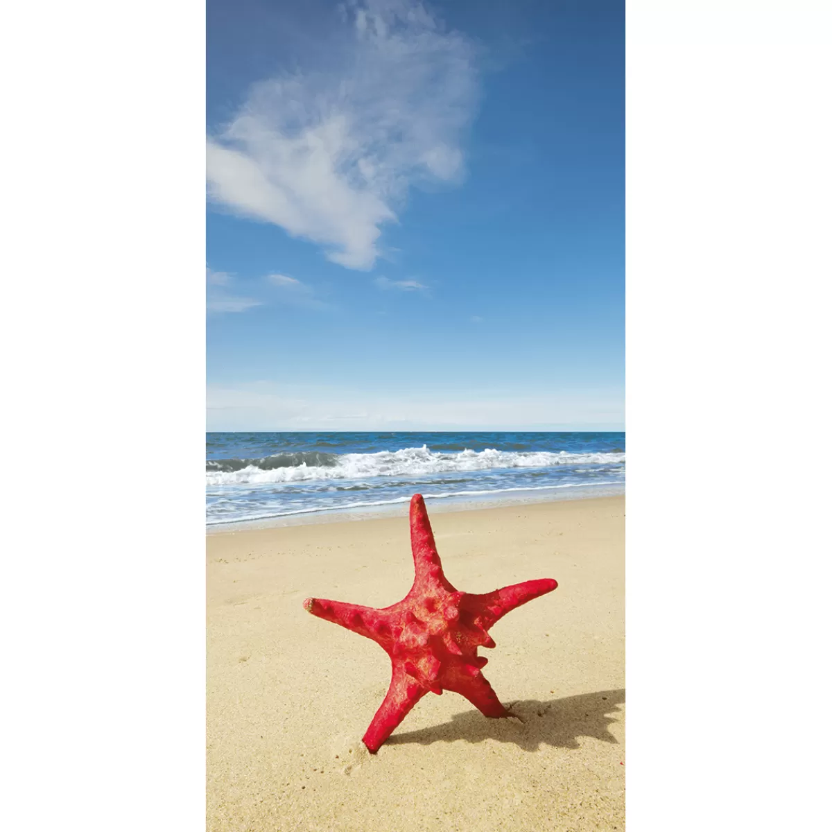 DecoWoerner Bannière En Tissu Ignifugé "étoile De Mer à La Mer" En Tissu Pour Drapeau 100 X 200 Cm