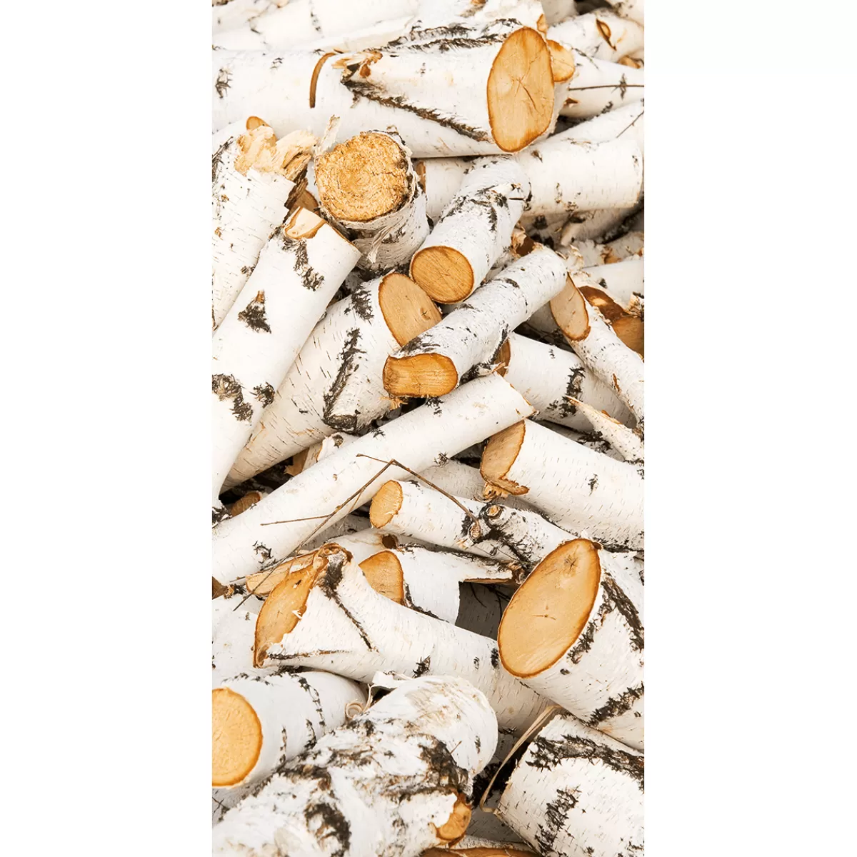 DecoWoerner Bannière En Tissu Ignifugé "troncs De Bouleau s" En Tissu Pour Drapeau 100 X 200 Cm