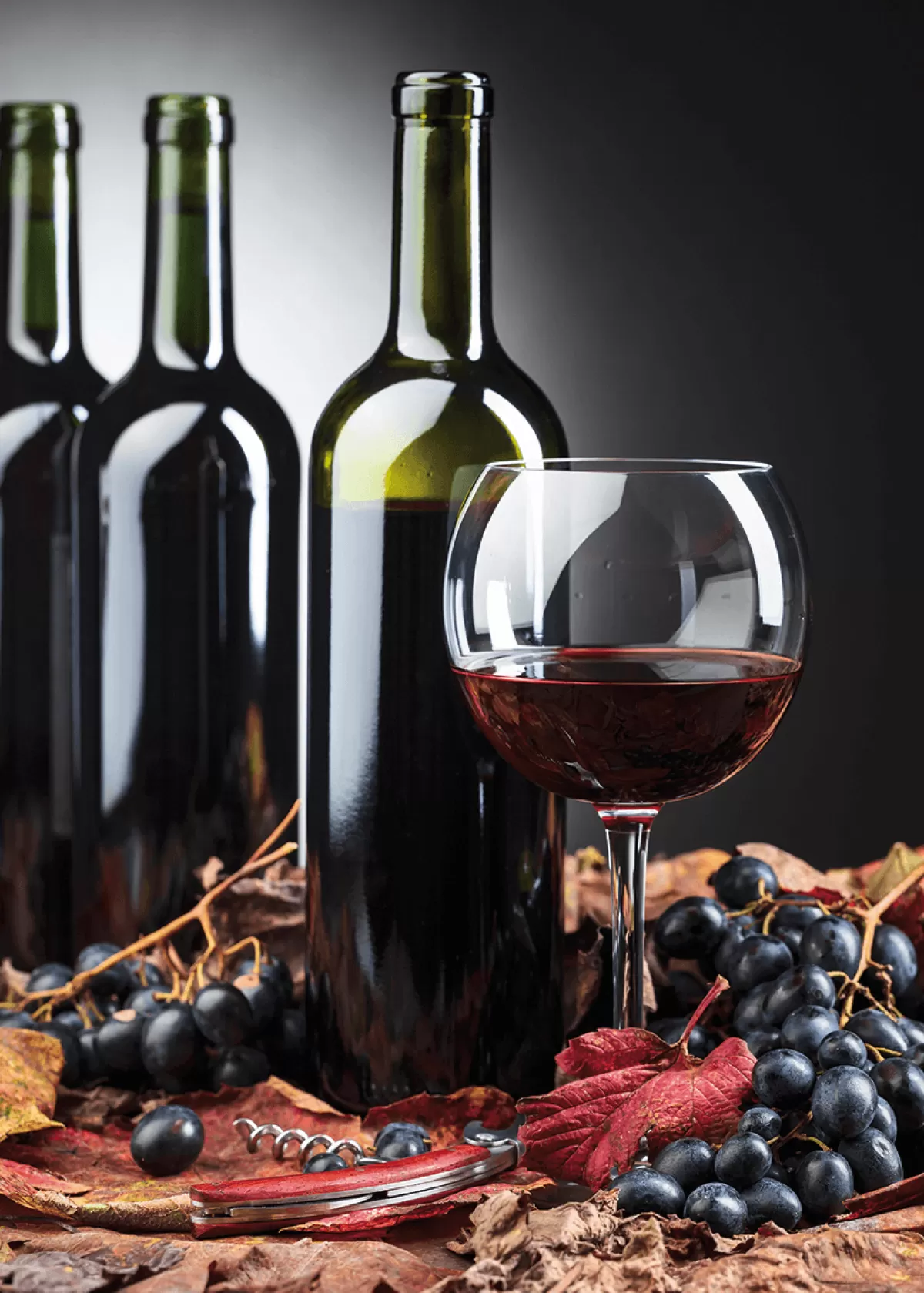 DecoWoerner Bannière En Tissu Ignifugé "vin Rouge" En Tissu Pour Drapeau 100 X 140 Cm