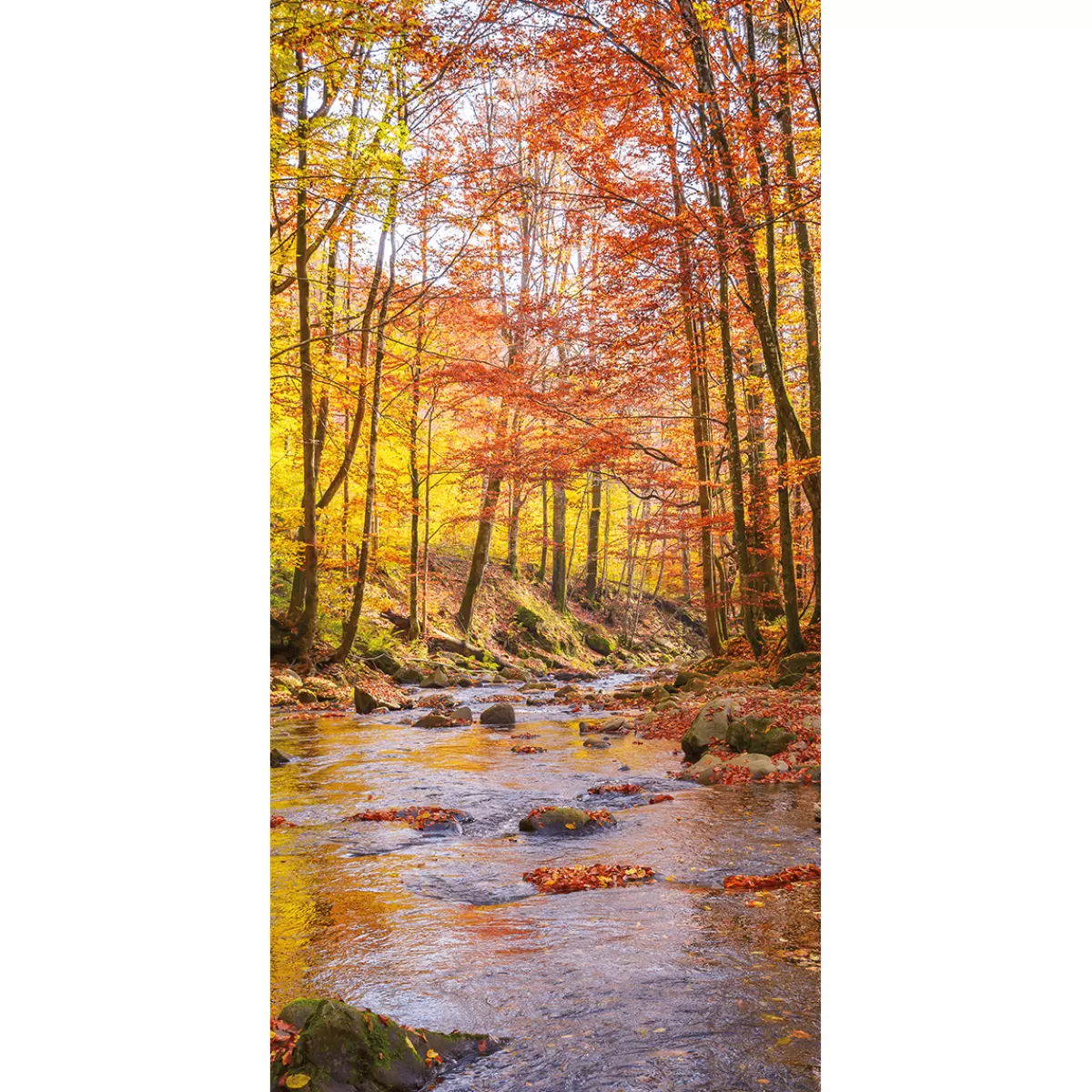 DecoWoerner Bannière En Tissu Ruisseau Automne 100 X 200 Cm