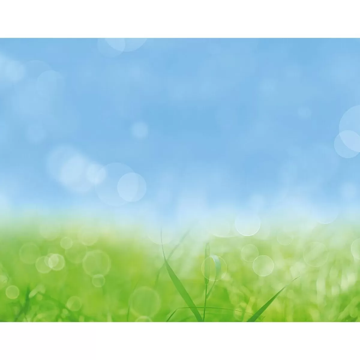 DecoWoerner Bannière XXL "herbe De Printemps" En Bâche De Camion Difficilement Inflammable 250 X 330 Cm