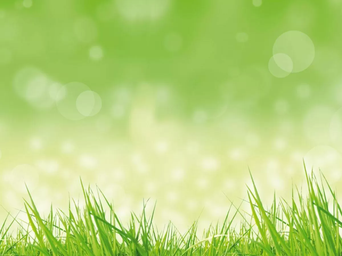 DecoWoerner Bannière XXL "herbe De Printemps" En Bâche De Camion Ignifuge 250 X 330 Cm