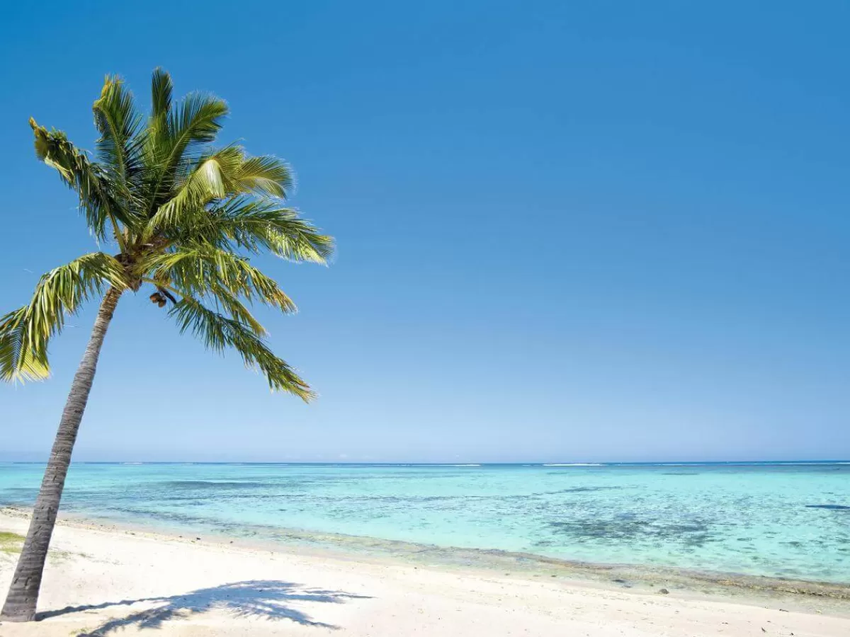 DecoWoerner Bannière XXL "Plage De Palmiers Tropicaux" En Bâche De Camion Difficilement Inflammable 250 X 330 Cm