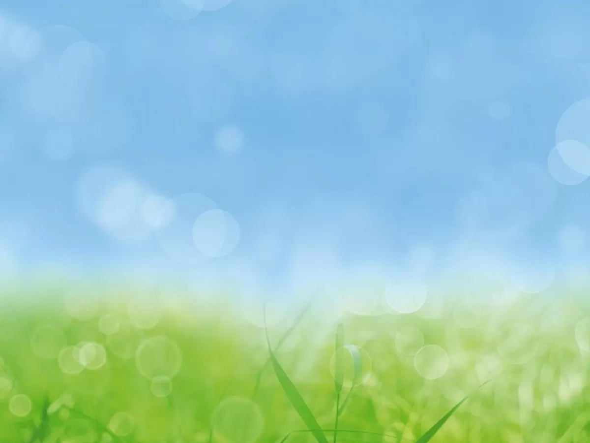 DecoWoerner Bannière XXL "Pré Printanier" En Bâche De Camion Difficilement Inflammable 300 X 400 Cm