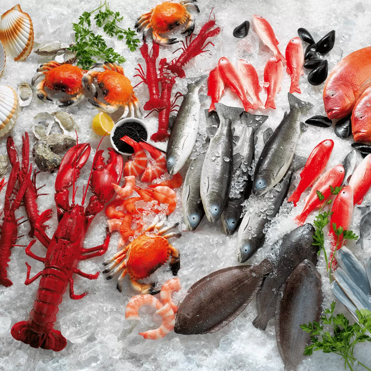 DecoWoerner Bloc De Glace En Plastique De Qualité Alimentaire, 50 Pièces