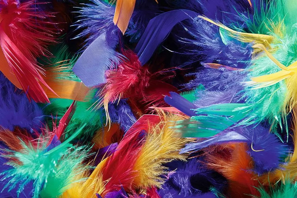 DecoWoerner Boa En Plumes, Coloré, 180 Cm