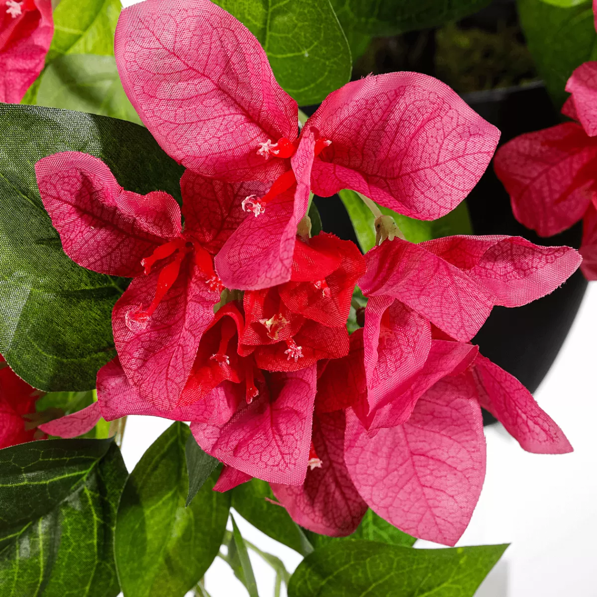 DecoWoerner Bougainvilliers Suspendus - Fleur Artificielle En Pot 60 Cm