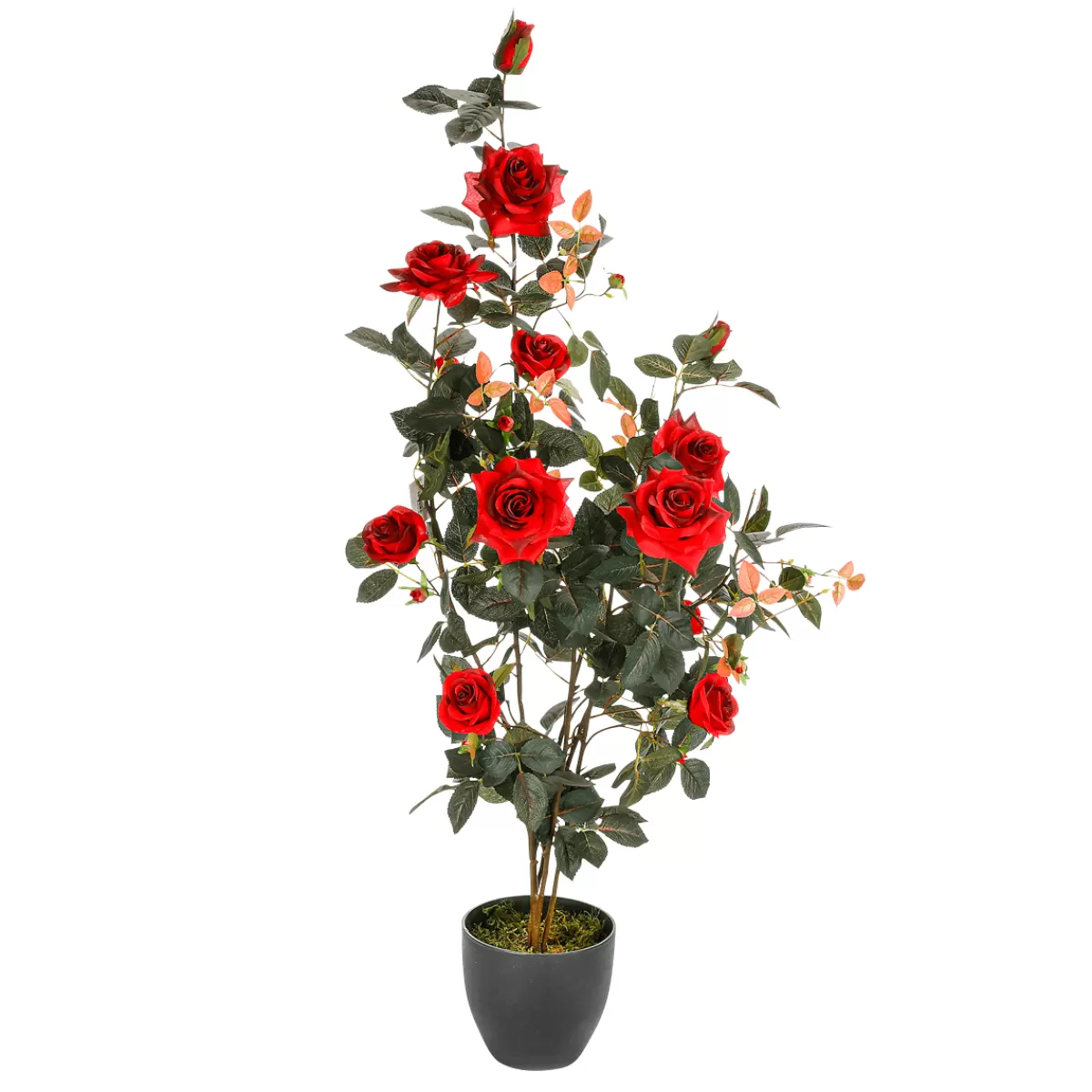 DecoWoerner Bouquet De Roses En Pot 115 Cm