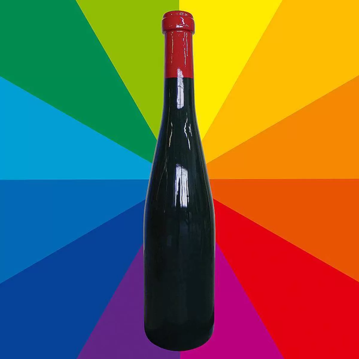 DecoWoerner Bouteille De Vin XXL Factice Haut. 170 Cm, Couleur Au Choix