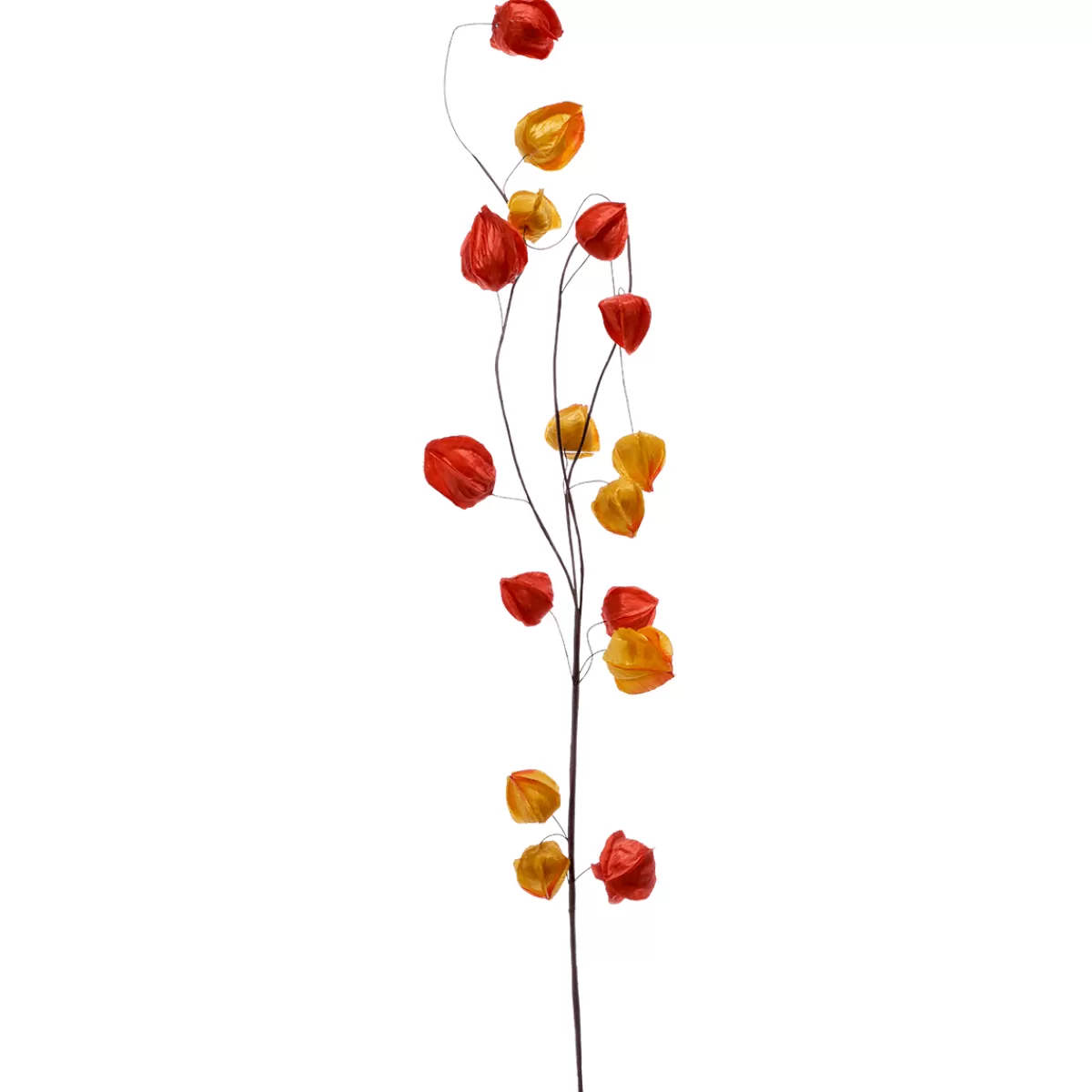 DecoWoerner Branche Artificielle De Physalis, 80 Cm