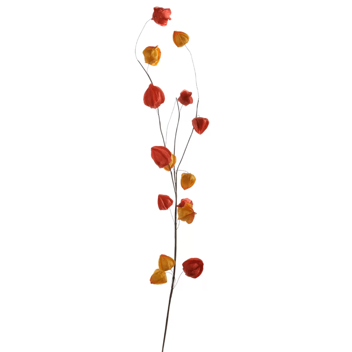 DecoWoerner Branche Artificielle De Physalis, 80 Cm