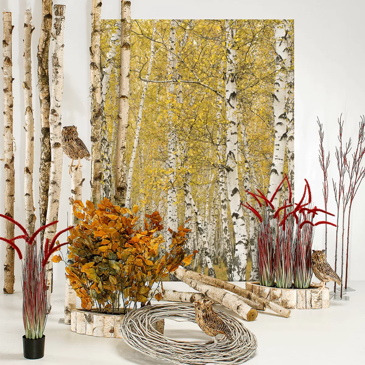 DecoWoerner Branche Décoration Branche Cornus 130 Cm