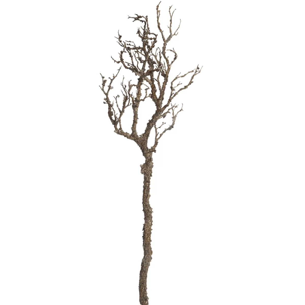 DecoWoerner Branche Décorative Artificielle, Longueur 90 Cm, , Sans Feuilles