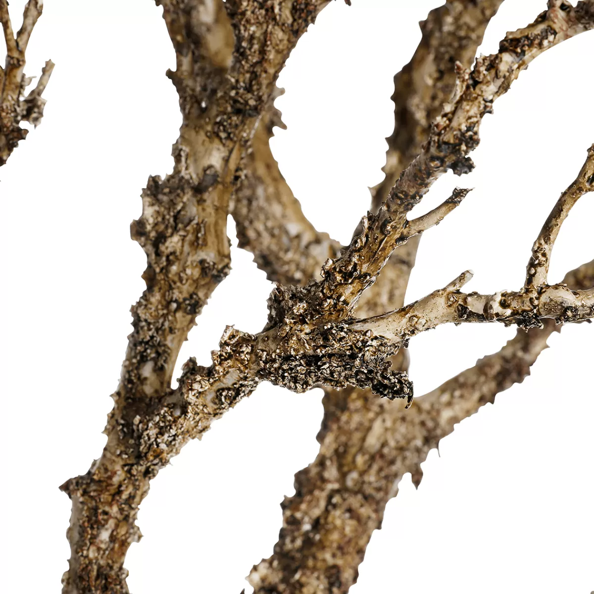 DecoWoerner Branche Décorative Artificielle, Longueur 90 Cm, , Sans Feuilles