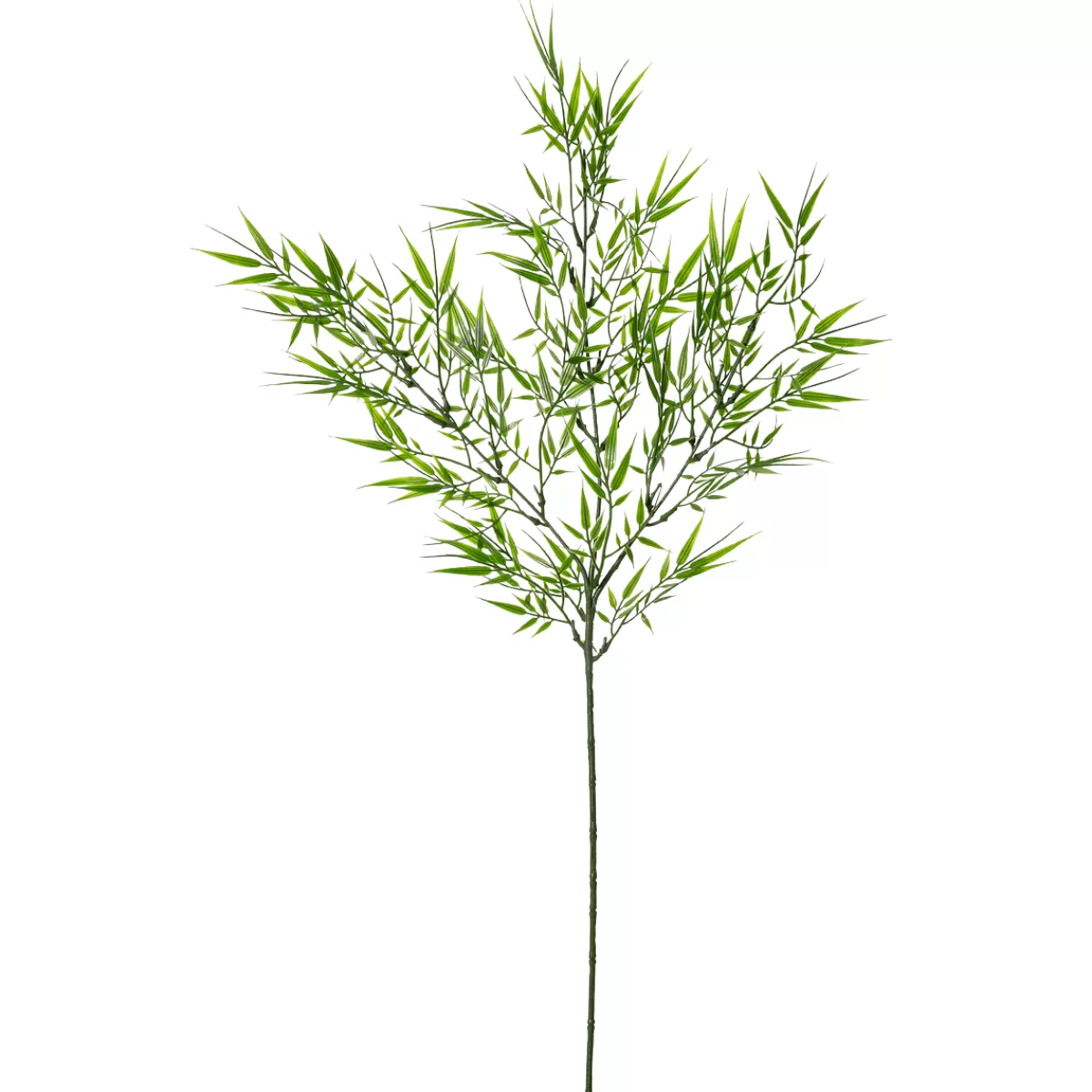 DecoWoerner Branche Décorative En Bambou 78 Cm De Long