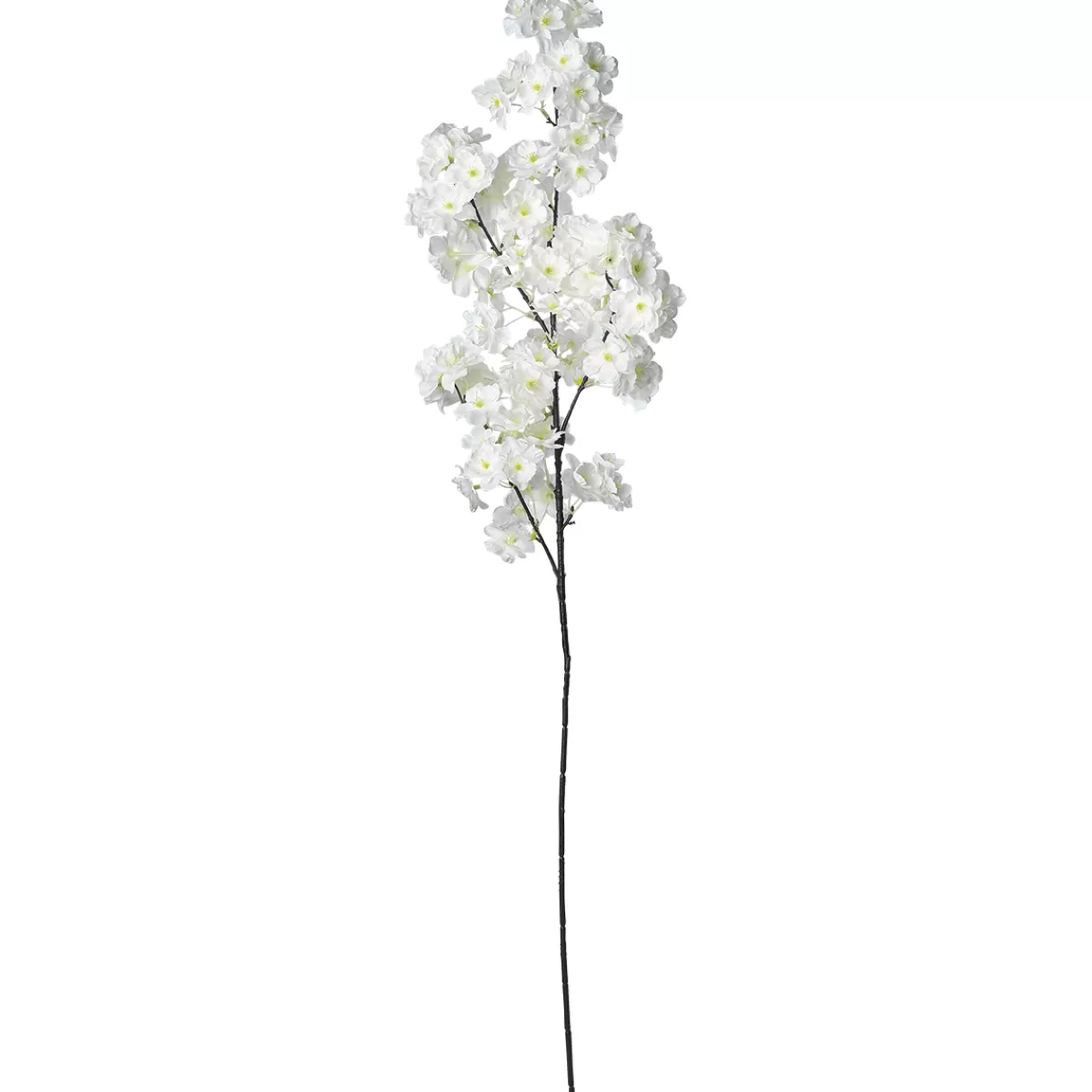 DecoWoerner Branche De Cerisier à Fleurs Déco he, 105 Cm