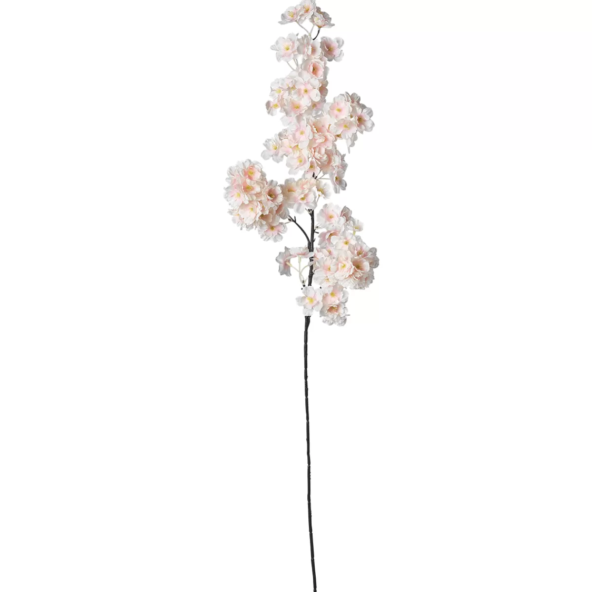 DecoWoerner Branche De Cerisier à Fleurs Déco , 105 Cm