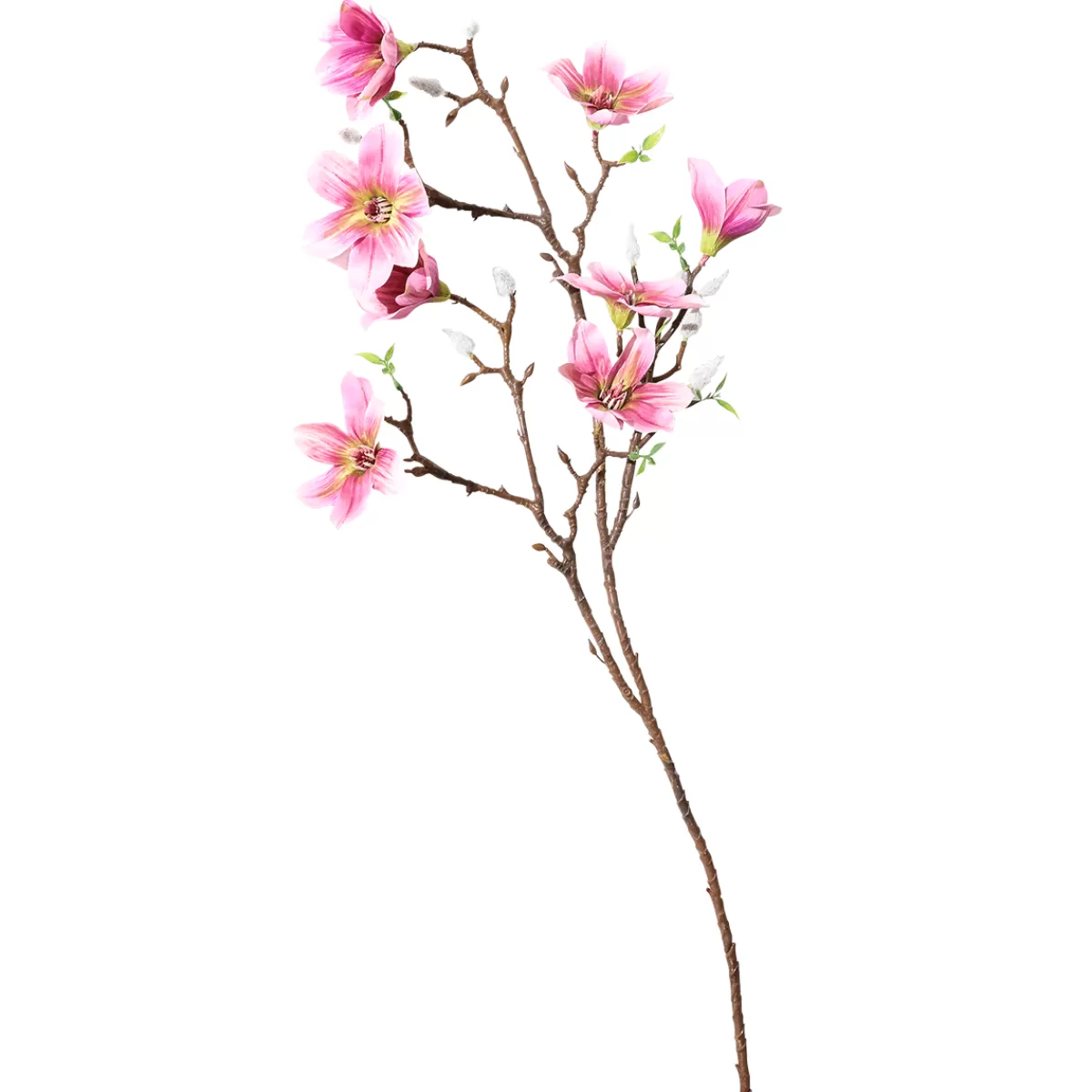 DecoWoerner Branche De Magnolia Artificielle, , 87 Cm