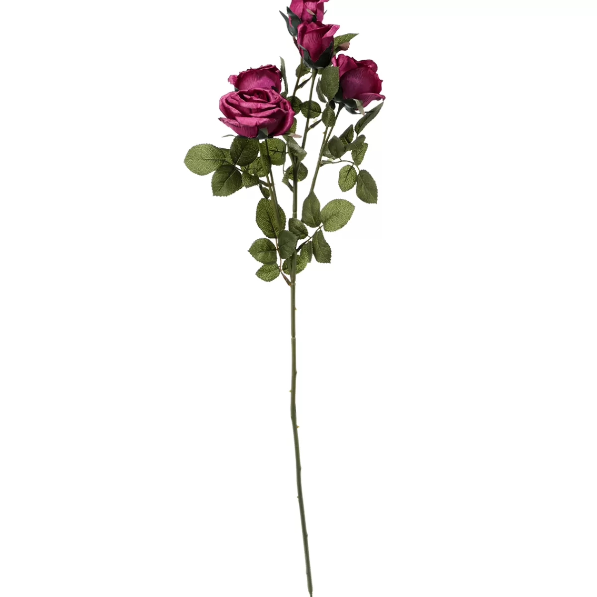 DecoWoerner Branche De Rose Artificielle, 73 Cm, Violet Foncé