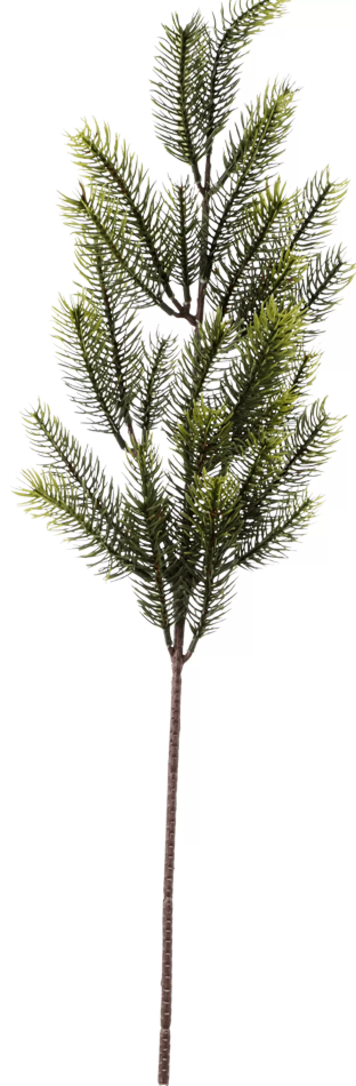 DecoWoerner Branche De Sapin Artificielle, 66 Cm De Long