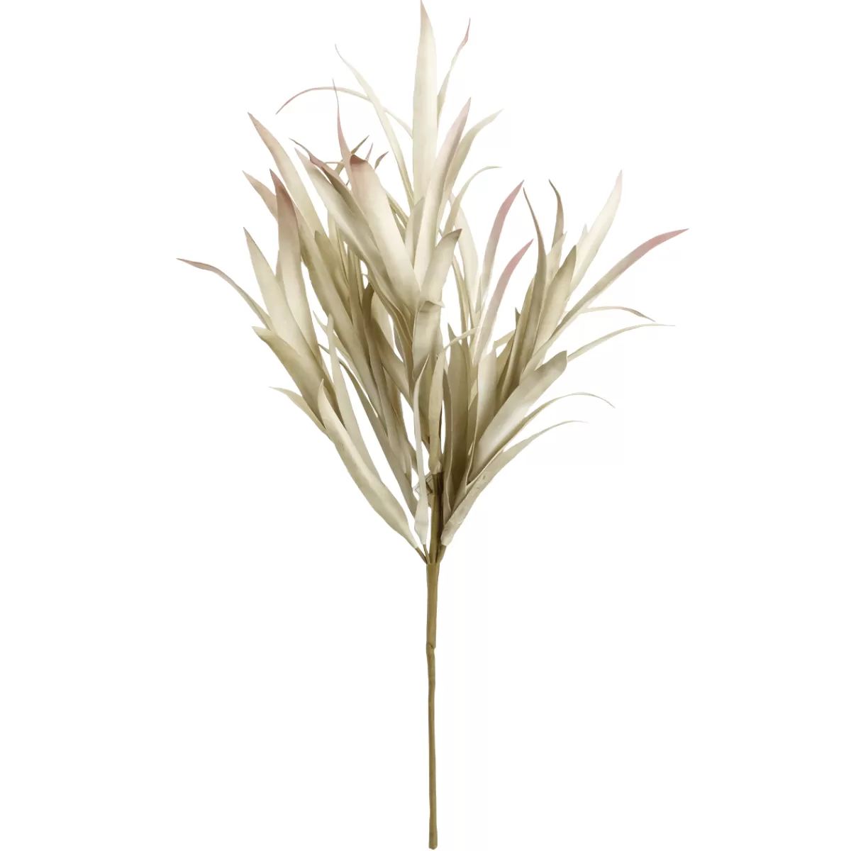 DecoWoerner Branche De Saule Artificielle Avec Longues Feuilles 2 Pièces, 62 Cm Clair