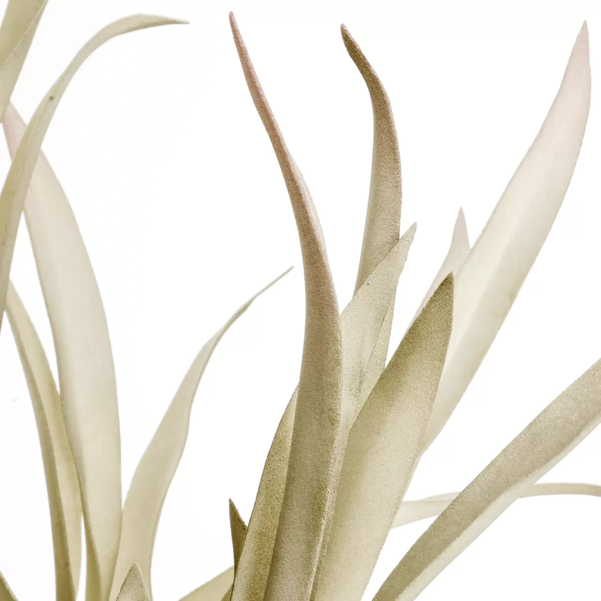 DecoWoerner Branche De Saule Artificielle Avec Longues Feuilles 2 Pièces, 62 Cm Clair