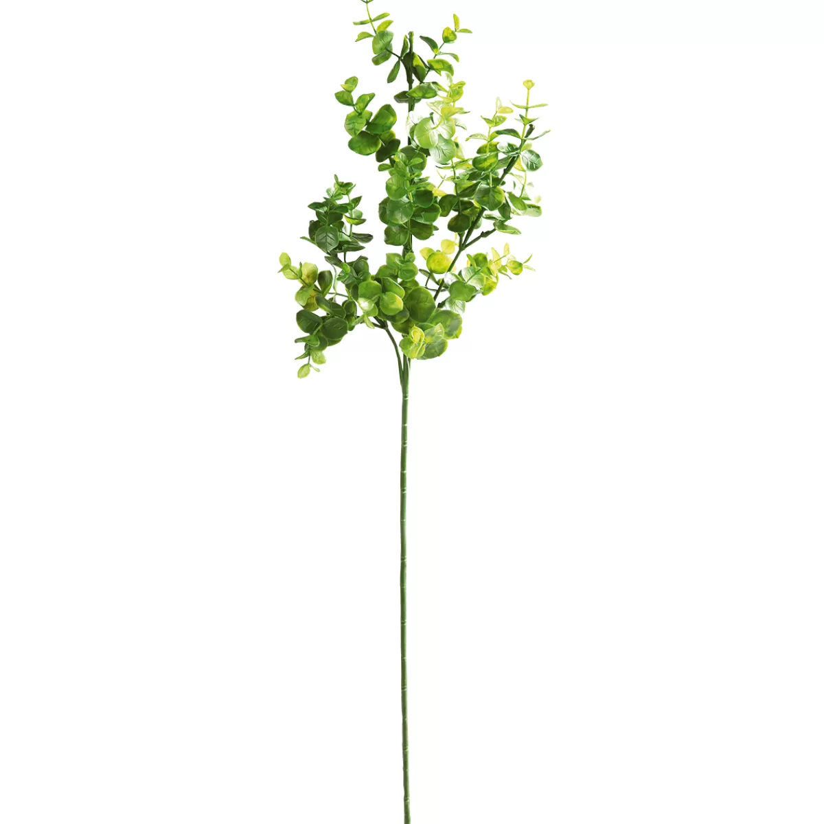 DecoWoerner Branche D'eucalyptus Artificielle Long. 60 Cm