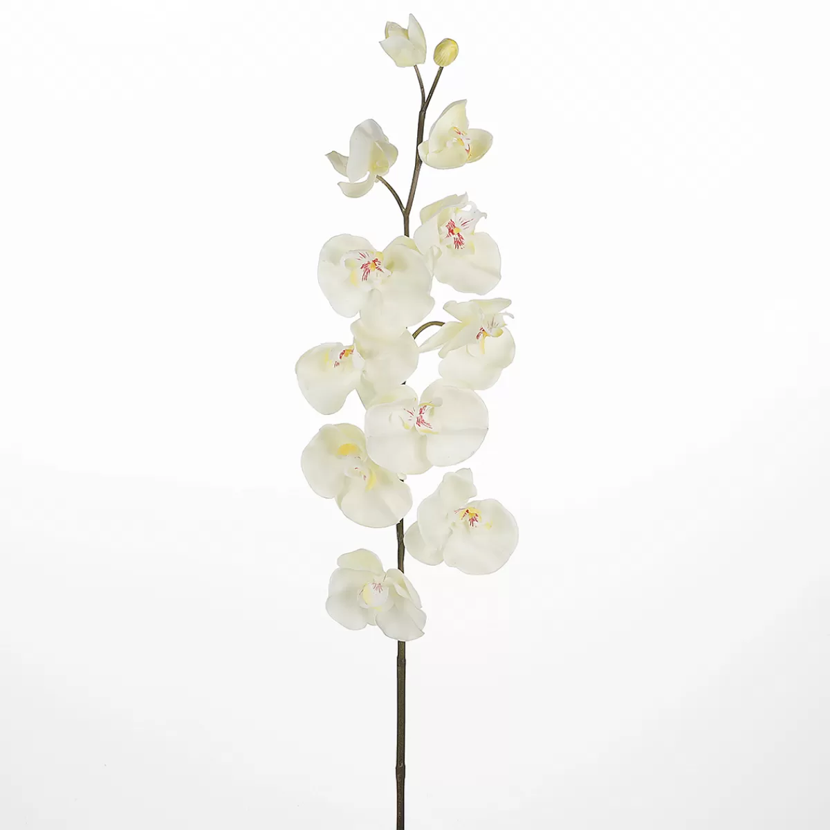 DecoWoerner Branche D'orchidée Décorative he 110 Cm