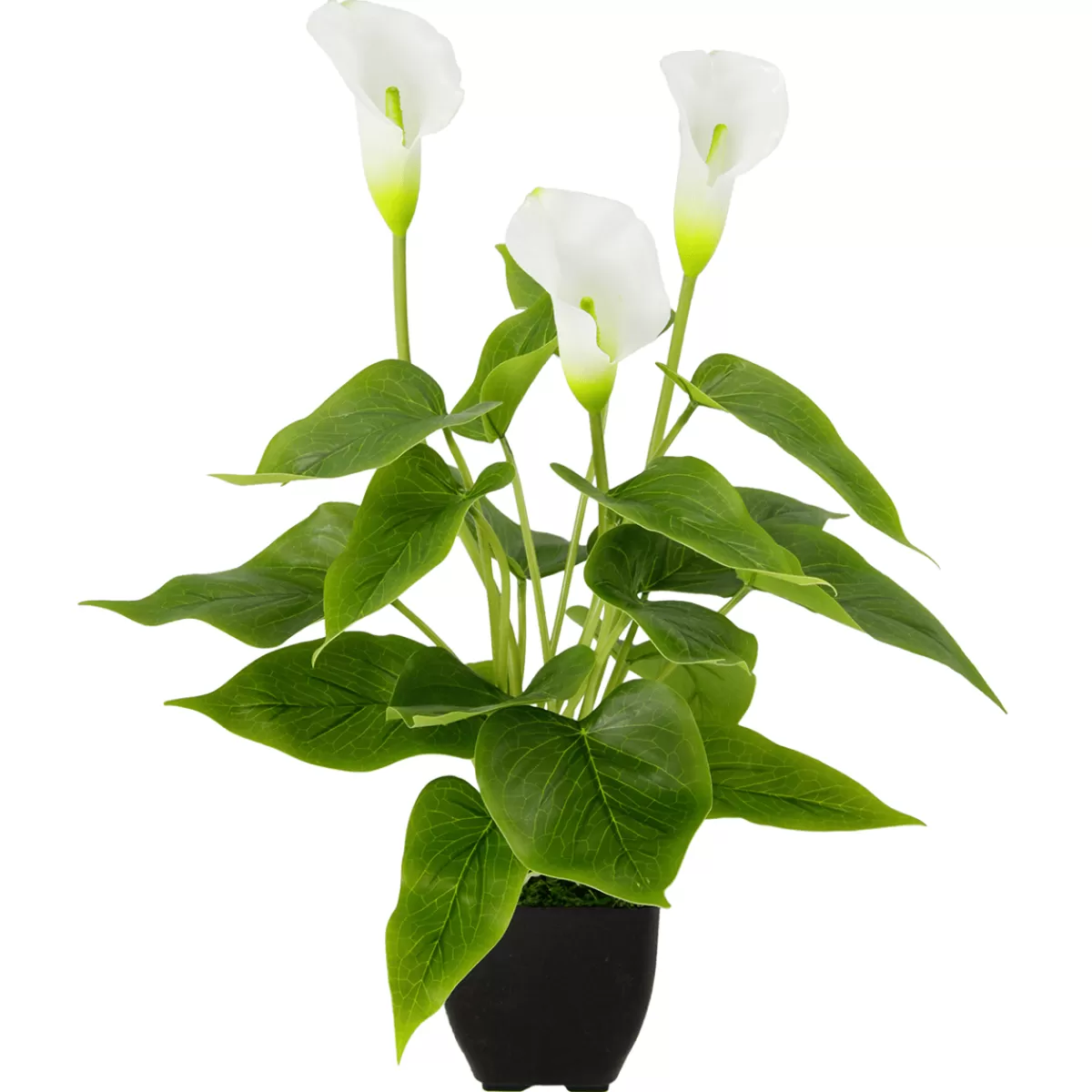 DecoWoerner Calla Plante Artificielle he 40 Cm En Pot