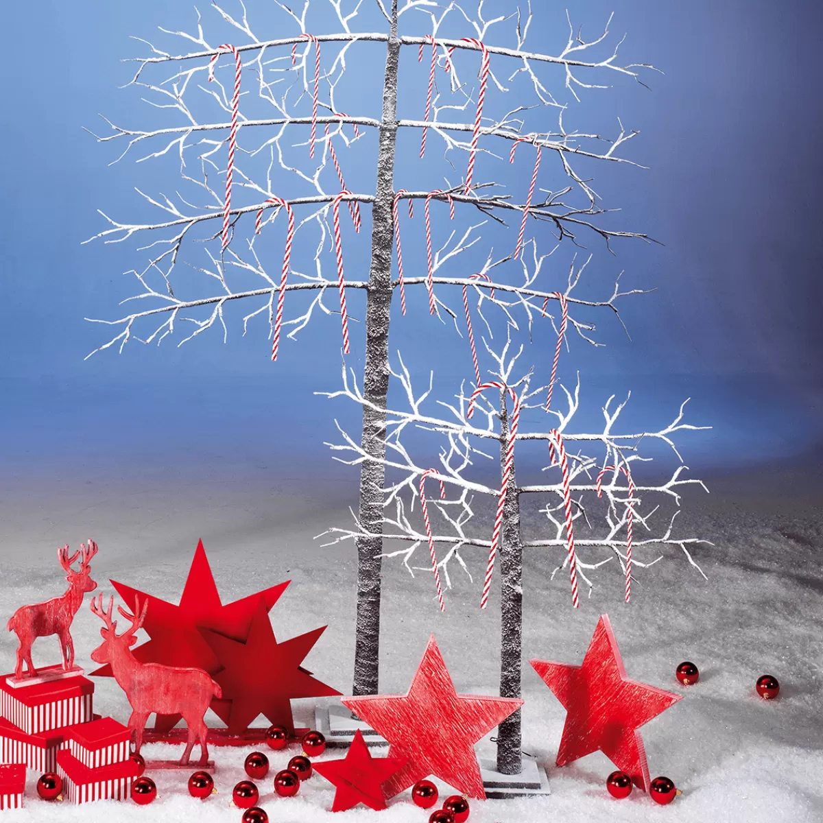 cannes_en_sucre_xxl_aliment_factice_5_pces_50_cm_9.webp DecoWoerner Cannes En Sucre XXL Aliment Factice 5 Pces 50 Cm