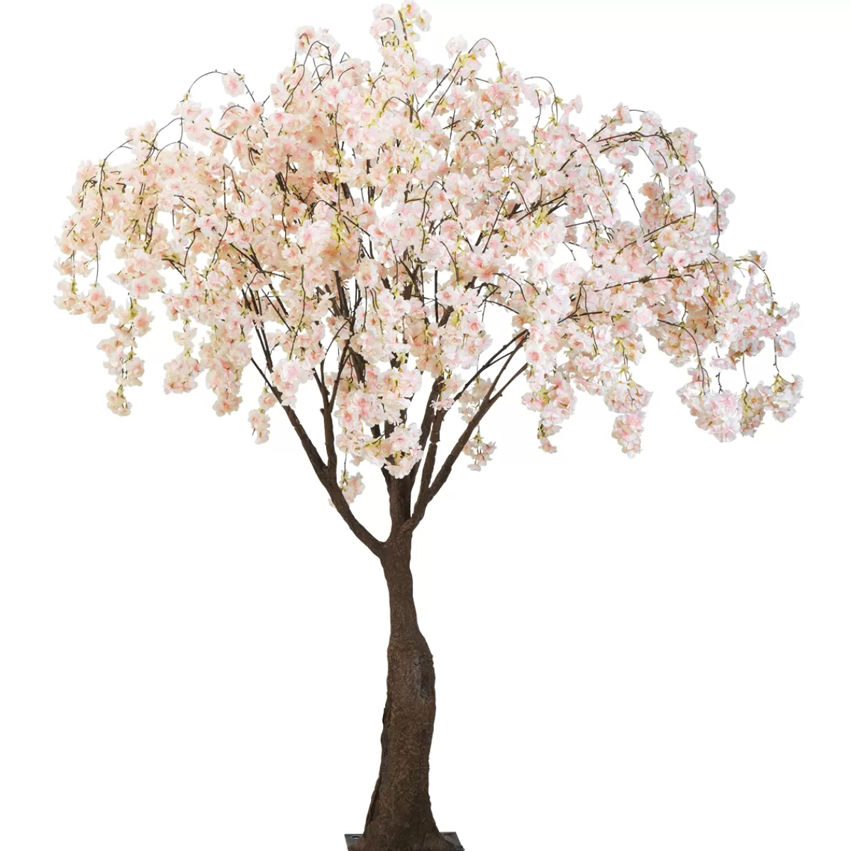 DecoWoerner Cerisier à Fleurs Artificiel Blanc, 150 Cm