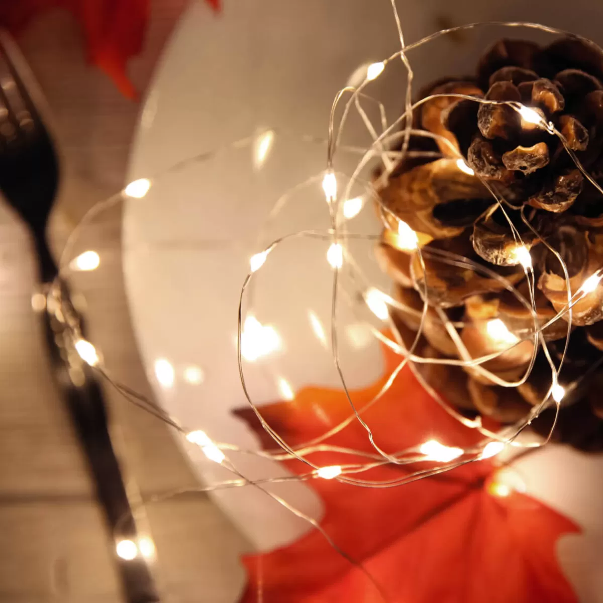 chane_lumineuse__fil__led_sur_pile_pour_lext_100_led_10_m_6-1.webp DecoWoerner Chaîne Lumineuse à Fil à LED Sur Pile Pour L'ext., 100 LED, 10 M