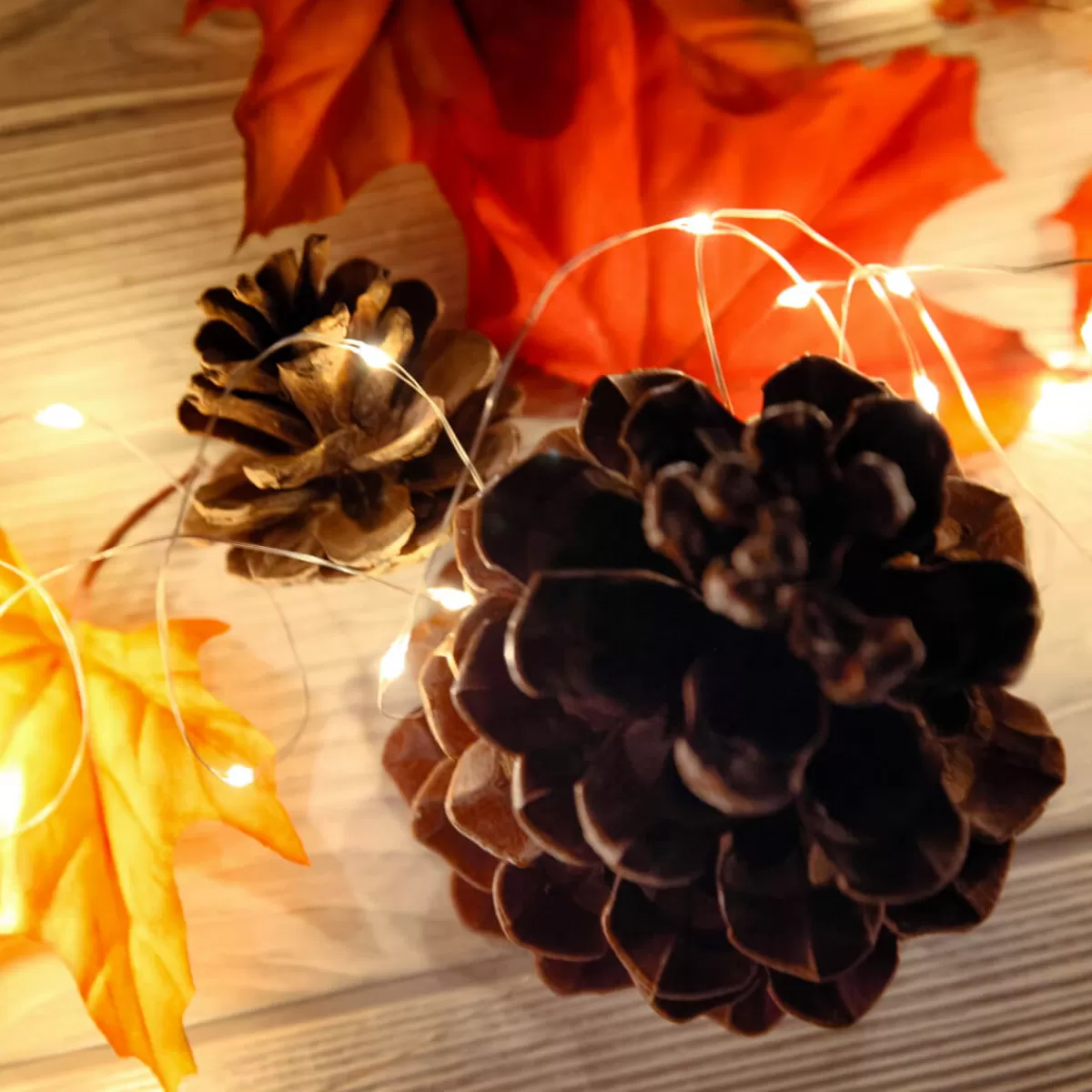 chane_lumineuse__fil__led_sur_pile_pour_lext_100_led_10_m_7-1.webp DecoWoerner Chaîne Lumineuse à Fil à LED Sur Pile Pour L'ext., 100 LED, 10 M