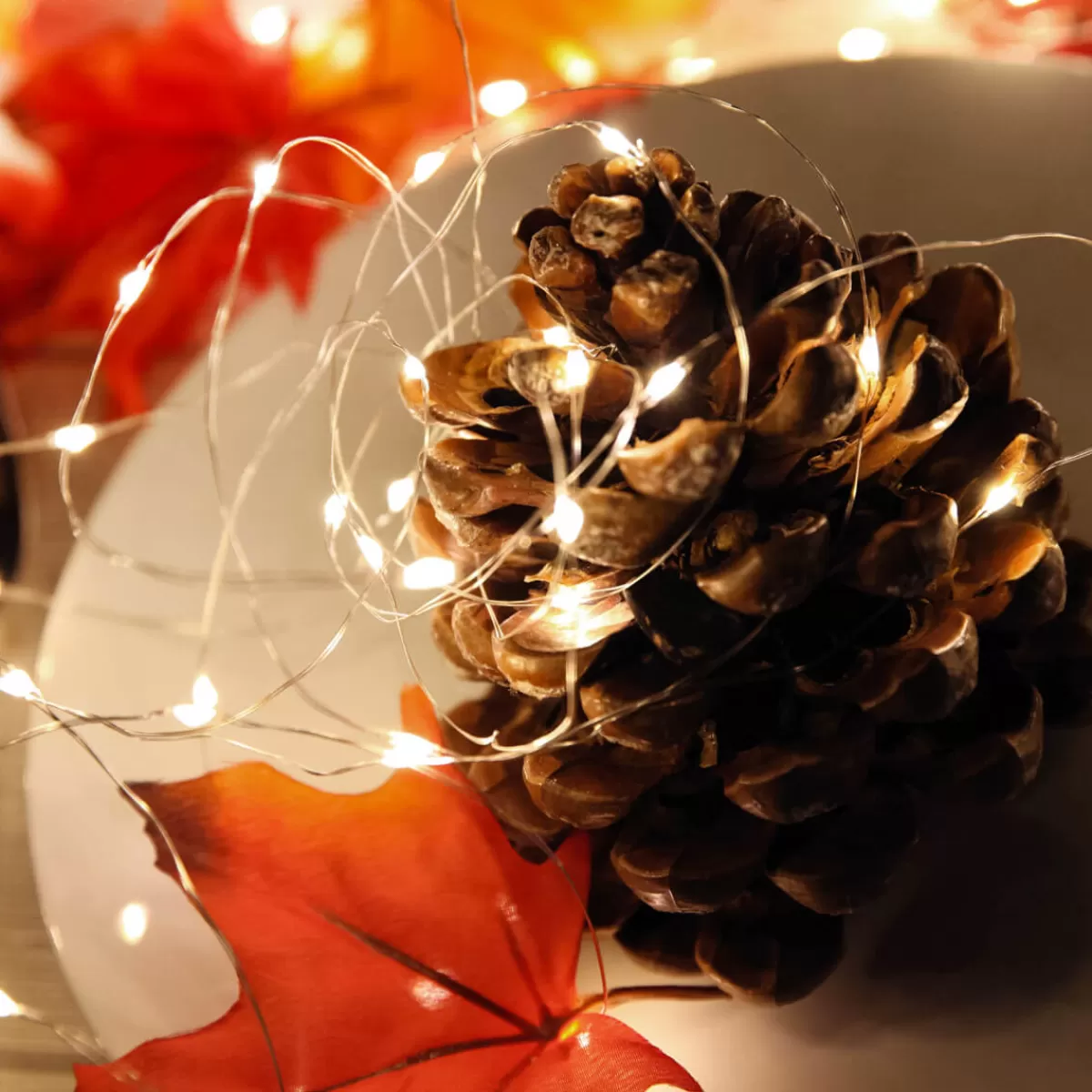 chane_lumineuse__fil__led_sur_pile_pour_lext_100_led_10_m_9-1.webp DecoWoerner Chaîne Lumineuse à Fil à LED Sur Pile Pour L'ext., 100 LED, 10 M