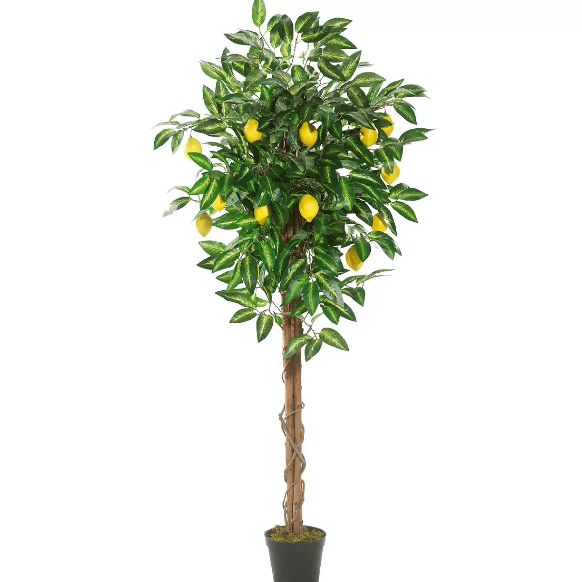 DecoWoerner Citronnier Artificiel 180 Cm