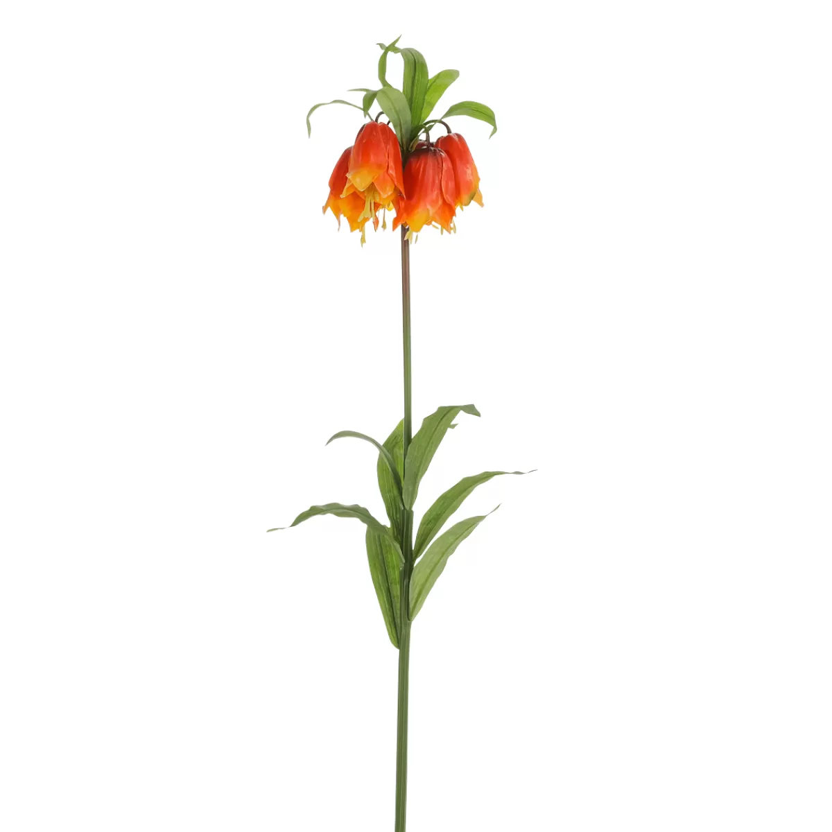 DecoWoerner Couronne Impériale Artificielle Fritillaria Imperialis 110 Cm