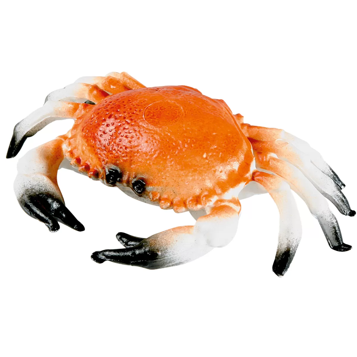 DecoWoerner Crabe Alimentaire Factice 20 Cm